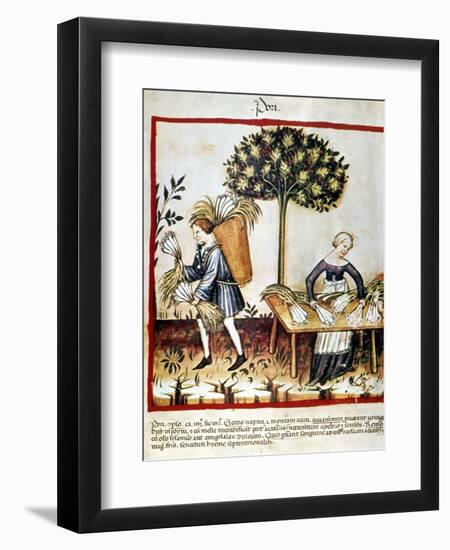 Leeks-null-Framed Giclee Print