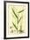 Leersia Oryzoides European Cut-Grass-null-Framed Giclee Print