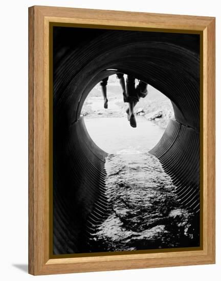 Leeveo-Craig Satterlee-Framed Premier Image Canvas