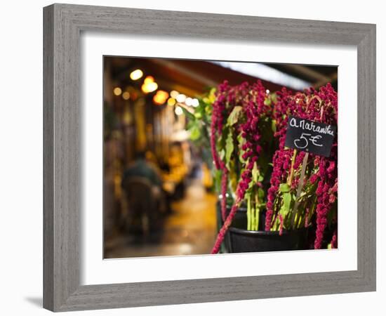 Left Bank Flower Shop, Rue De Buci, Paris, France, Usa-Walter Bibikow-Framed Photographic Print