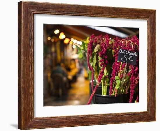 Left Bank Flower Shop, Rue De Buci, Paris, France, Usa-Walter Bibikow-Framed Photographic Print