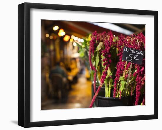 Left Bank Flower Shop, Rue De Buci, Paris, France, Usa-Walter Bibikow-Framed Photographic Print