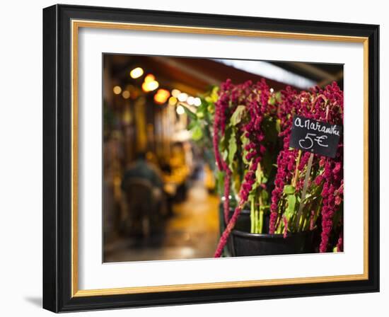 Left Bank Flower Shop, Rue De Buci, Paris, France, Usa-Walter Bibikow-Framed Photographic Print