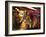 Left Bank Flower Shop, Rue De Buci, Paris, France, Usa-Walter Bibikow-Framed Photographic Print