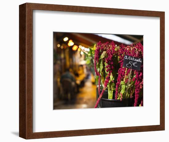 Left Bank Flower Shop, Rue De Buci, Paris, France, Usa-Walter Bibikow-Framed Photographic Print