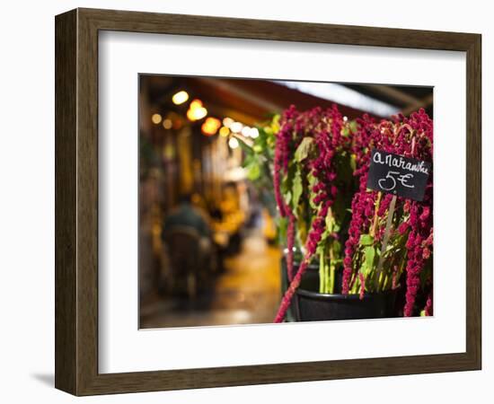 Left Bank Flower Shop, Rue De Buci, Paris, France, Usa-Walter Bibikow-Framed Photographic Print