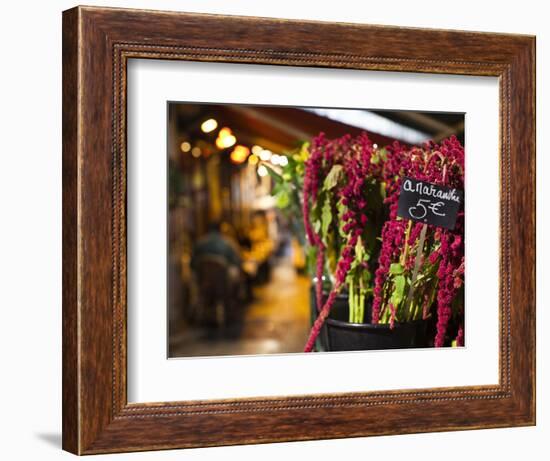 Left Bank Flower Shop, Rue De Buci, Paris, France, Usa-Walter Bibikow-Framed Photographic Print