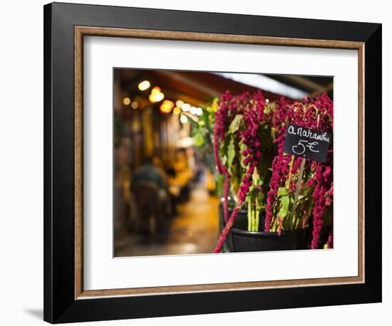 Left Bank Flower Shop, Rue De Buci, Paris, France, Usa-Walter Bibikow-Framed Photographic Print