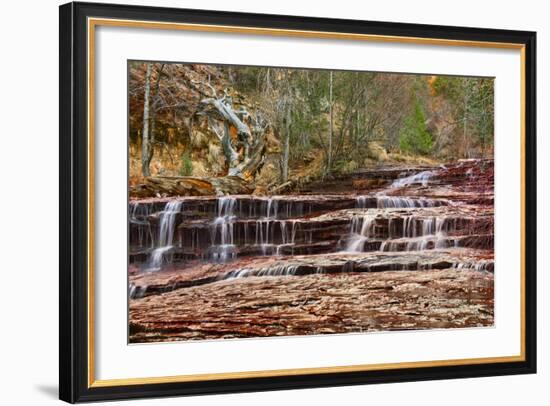 Left Fork Virgin River Zion National Park, Utah, USA-John Ford-Framed Photographic Print