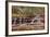 Left Fork Virgin River Zion National Park, Utah, USA-John Ford-Framed Photographic Print