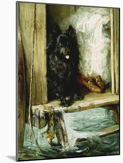Left in Charge - a Black Pomerain on the Steps of a Bathing Machine-Philip Eustace Stretton-Mounted Giclee Print