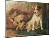 Left in Charge - a Fox Terrier with Game-Philip Eustace Stretton-Mounted Giclee Print