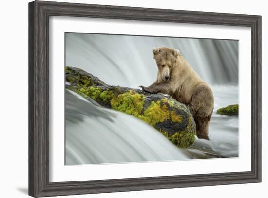 Left Wanting-Renee Doyle-Framed Giclee Print