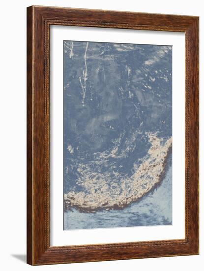 Leftover Daisy II-Tyson Estes-Framed Giclee Print