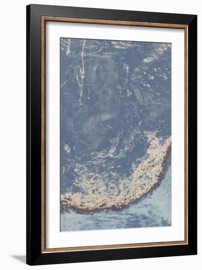 Leftover Daisy II-Tyson Estes-Framed Giclee Print