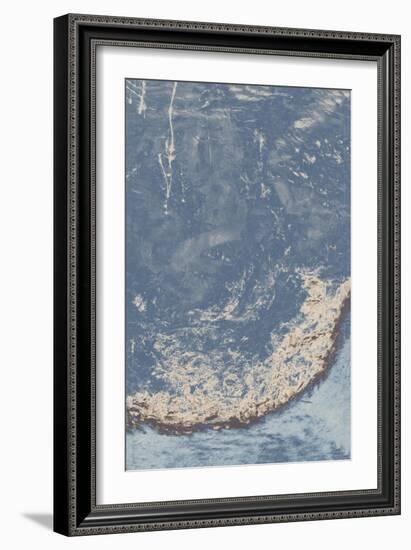 Leftover Daisy II-Tyson Estes-Framed Giclee Print