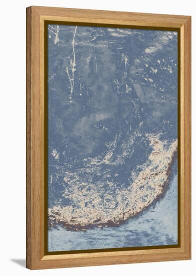 Leftover Daisy II-Tyson Estes-Framed Premier Image Canvas