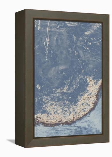 Leftover Daisy II-Tyson Estes-Framed Premier Image Canvas