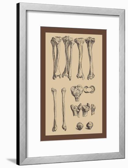 Leg Bones-Andreas Vesalius-Framed Art Print