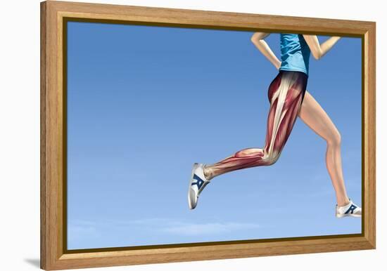 Leg Muscles In Running, Artwork-Henning Dalhoff-Framed Premier Image Canvas