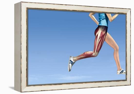 Leg Muscles In Running, Artwork-Henning Dalhoff-Framed Premier Image Canvas