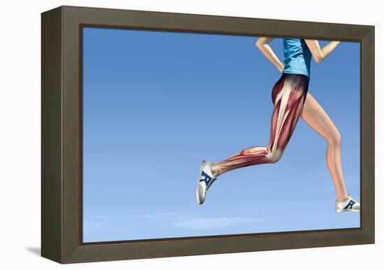 Leg Muscles In Running, Artwork-Henning Dalhoff-Framed Premier Image Canvas