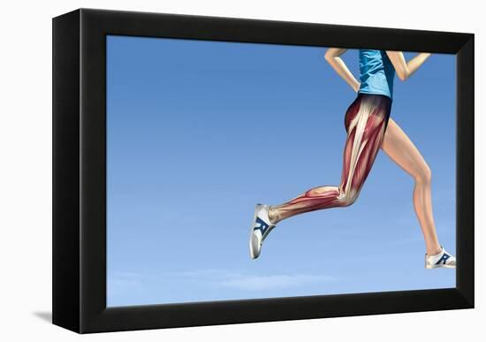 Leg Muscles In Running, Artwork-Henning Dalhoff-Framed Premier Image Canvas