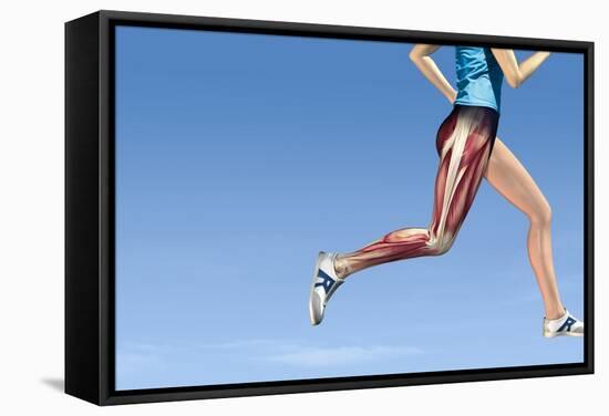 Leg Muscles In Running, Artwork-Henning Dalhoff-Framed Premier Image Canvas