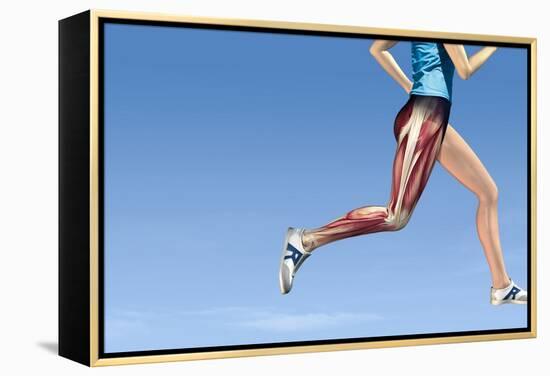 Leg Muscles In Running, Artwork-Henning Dalhoff-Framed Premier Image Canvas