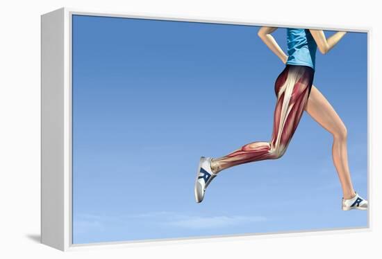 Leg Muscles In Running, Artwork-Henning Dalhoff-Framed Premier Image Canvas