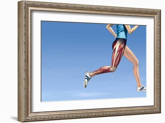 Leg Muscles In Running, Artwork-Henning Dalhoff-Framed Photographic Print