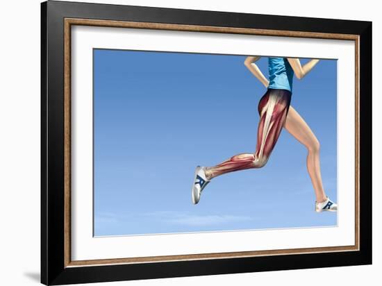 Leg Muscles In Running, Artwork-Henning Dalhoff-Framed Photographic Print