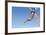 Leg Muscles In Running, Artwork-Henning Dalhoff-Framed Photographic Print