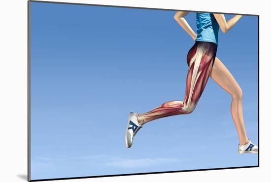Leg Muscles In Running, Artwork-Henning Dalhoff-Mounted Photographic Print