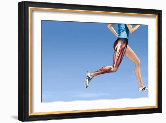 Leg Muscles In Running, Artwork-Henning Dalhoff-Framed Photographic Print