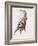 Leg Stretch-Mark Adlington-Framed Giclee Print