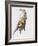 Leg Stretch-Mark Adlington-Framed Giclee Print