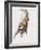 Leg Stretch-Mark Adlington-Framed Giclee Print