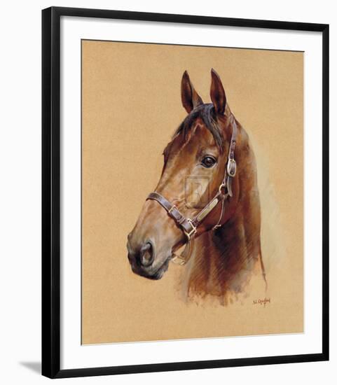 Legend (Best Mate)-Susan Crawford-Framed Limited Edition