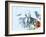 Legendary Birds Watercolor-Olivia Morgan-Framed Art Print