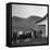 Legendary Country Western Music Carter Family: A.P. and Ezra with Family-Eric Schaal-Framed Premier Image Canvas