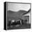 Legendary Country Western Music Carter Family: A.P. and Ezra with Family-Eric Schaal-Framed Premier Image Canvas