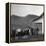 Legendary Country Western Music Carter Family: A.P. and Ezra with Family-Eric Schaal-Framed Premier Image Canvas