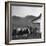 Legendary Country Western Music Carter Family: A.P. and Ezra with Family-Eric Schaal-Framed Premium Photographic Print