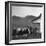 Legendary Country Western Music Carter Family: A.P. and Ezra with Family-Eric Schaal-Framed Premium Photographic Print