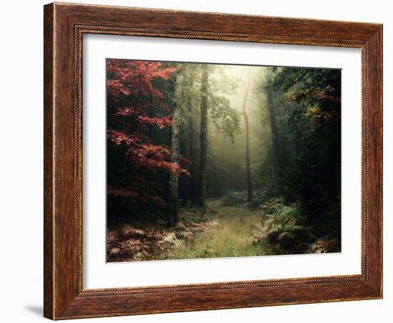 Legendary Forest in Brittany-Philippe Manguin-Framed Photographic Print