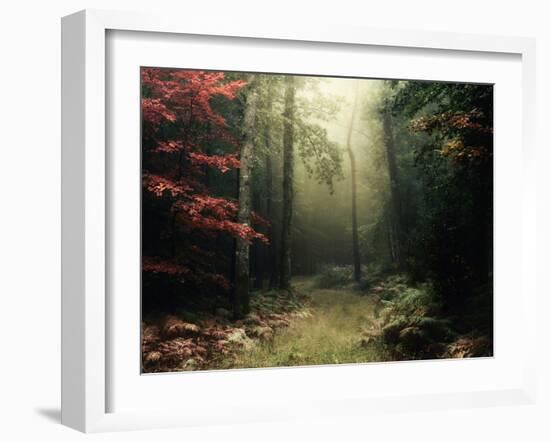 Legendary Forest in Brittany-Philippe Manguin-Framed Photographic Print