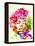Legendary Jimi Hendrix Watercolor I-Olivia Morgan-Framed Stretched Canvas