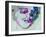 Legendary Lenny Watercolor I-Olivia Morgan-Framed Art Print