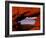 Legendary Pike's Peak, Garden of the Gods, Colorado Springs, Colorado-Jerry Ginsberg-Framed Photographic Print